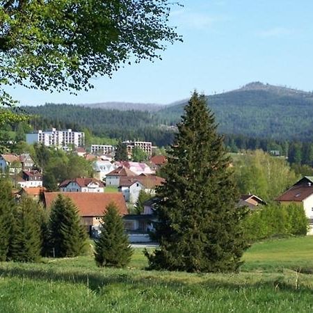 Haus Hochstein Aparthotel Haidmühle Buitenkant foto