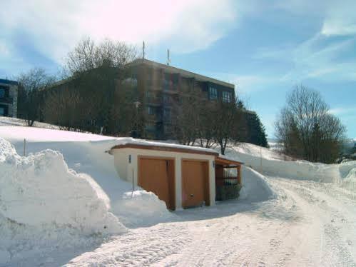 Haus Hochstein Aparthotel Haidmühle Buitenkant foto