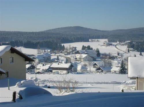 Haus Hochstein Aparthotel Haidmühle Buitenkant foto
