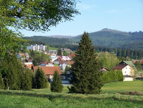 Haus Hochstein Aparthotel Haidmühle Buitenkant foto